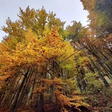 펜션 Planinska Kuca Steki Bukulja *