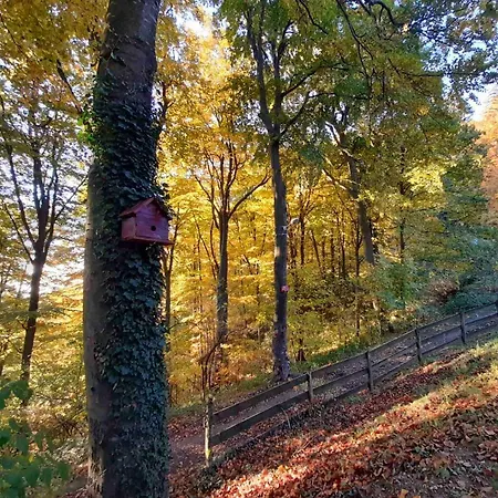 Planinska Kuca Steki Arandjelovac