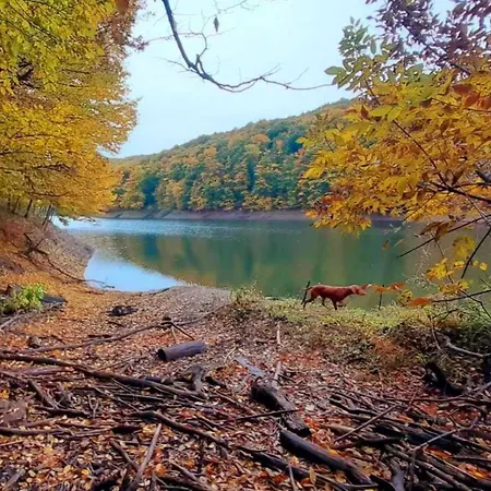 Planinska Kuca Steki Bukulja *