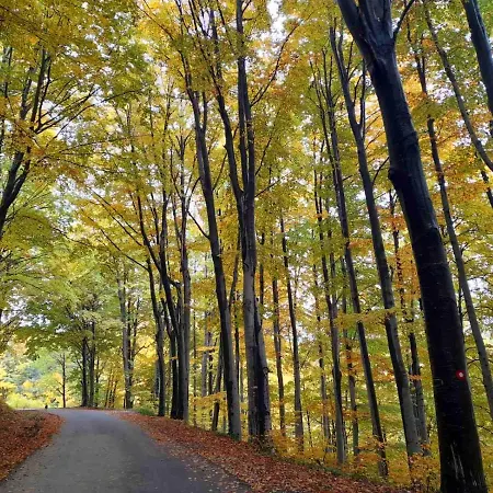 Planinska Kuca Steki Bukulja *