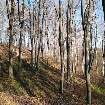Planinska Kuca Steki Bukulja Case de vacanță