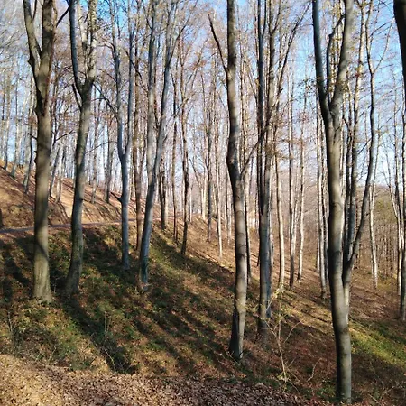 Planinska Kuca Steki Bukulja 펜션