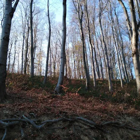 펜션 Planinska Kuca Steki Bukulja *