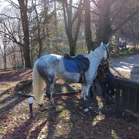 펜션 Planinska Kuca Steki Bukulja *