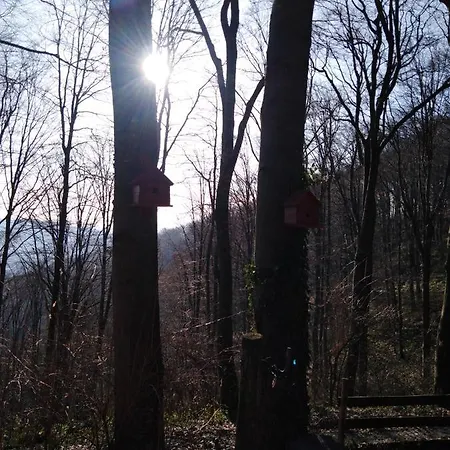 Case de vacanță Planinska Kuca Steki Bukulja Arandjelovac