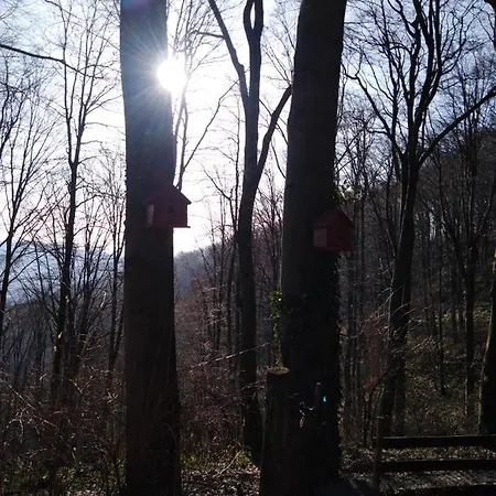 Hébergement de vacances Planinska Kuca Steki Bukulja Aranđelovac