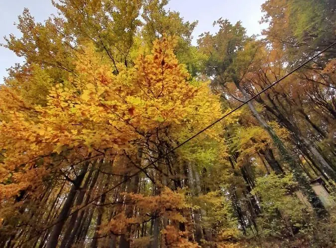 Casa de Férias Planinska Kuca Steki Bukulja *