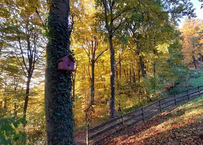Planinska Kuca Steki Bukulja Arandjelovac
