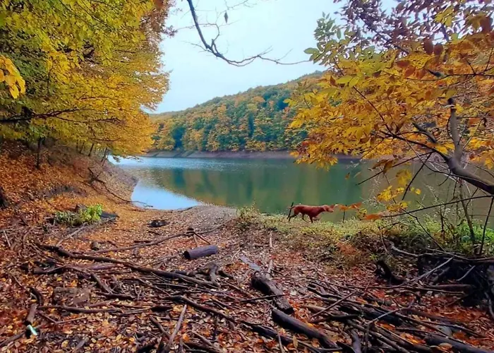 Planinska Kuca Steki Bukulja *