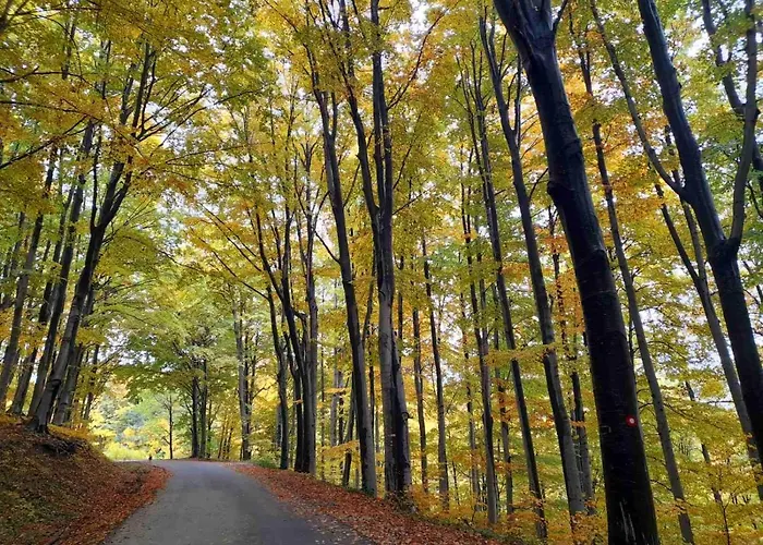 Planinska Kuca Steki Bukulja *