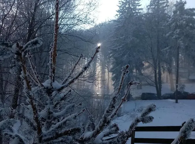Casa de Férias Planinska Kuca Steki Bukulja *