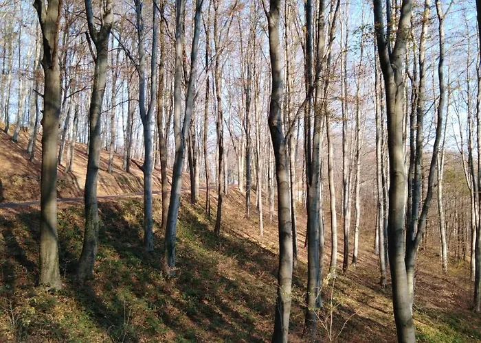 Planinska Kuca Steki Bukulja Casa de Férias