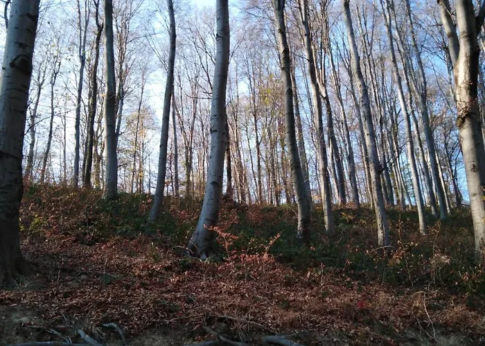 Casa de Férias Planinska Kuca Steki Bukulja *