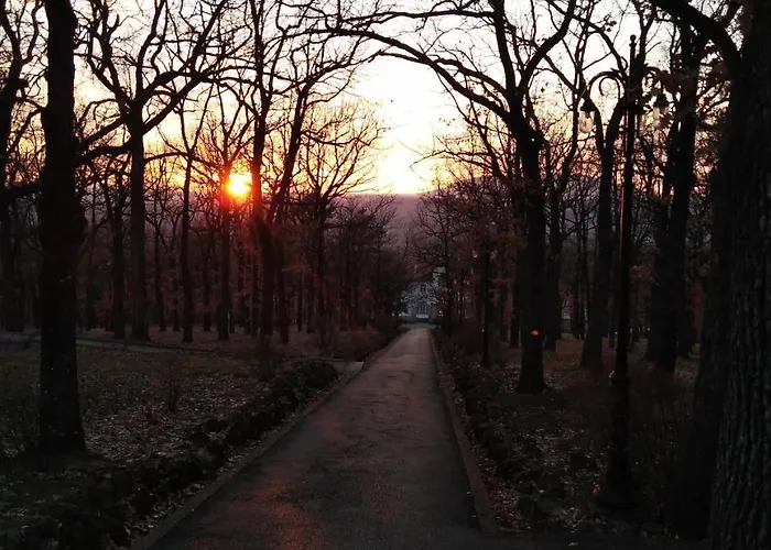 Planinska Kuca Steki Bukulja