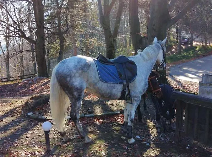 Casa de Férias Planinska Kuca Steki Bukulja *