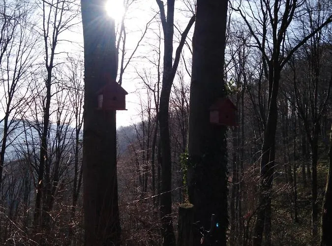 Σπίτι διακοπών Planinska Kuca Steki Bukulja Arandjelovac